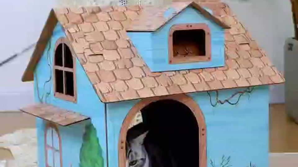 Cat House 01